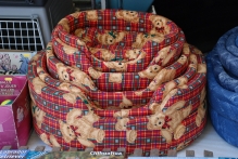 Belgium - copyright by Reineke Otten