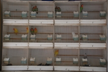 Belgium - copyright by Reineke Otten