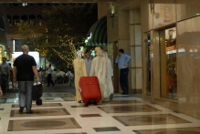 United Arab Emirates - copyright by Reineke Otten