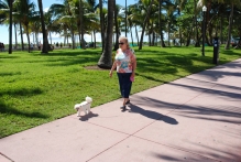 United-States, Florida - copyright by Reineke Otten