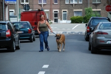Belgium - copyright by Reineke Otten