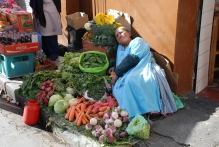 Bolivia - copyright by Reineke Otten