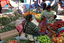 Bolivia - copyright by Reineke Otten