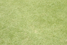 United Arab Emirates - copyright by Reineke Otten