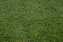 United Arab Emirates - copyright by Reineke Otten