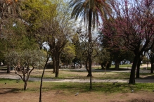 France - copyright by Reineke Otten