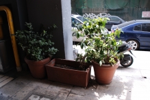 Greece - copyright by Reineke Otten