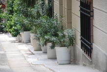 Greece - copyright by Reineke Otten