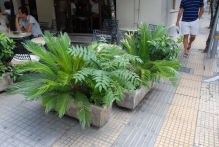 Greece - copyright by Reineke Otten