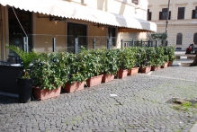 Italy - copyright by Reineke Otten