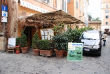 Italy - copyright by Reineke Otten