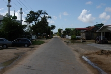Suriname - copyright by Reineke Otten