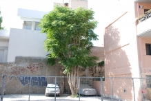 Greece - copyright by Reineke Otten