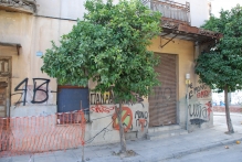 Greece - copyright by Reineke Otten