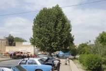 Morocco - copyright by Reineke Otten