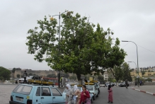 Morocco - copyright by Reineke Otten