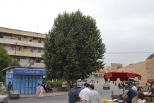 Morocco - copyright by Reineke Otten