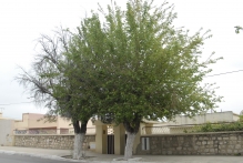 Morocco - copyright by Reineke Otten