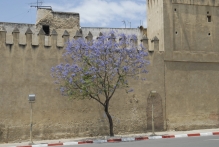 Morocco - copyright by Reineke Otten