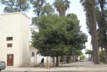 Morocco - copyright by Reineke Otten