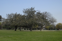 United Arab Emirates - copyright by Reineke Otten