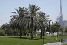 United Arab Emirates - copyright by Reineke Otten