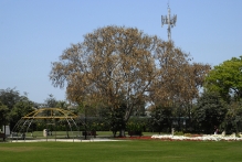 United Arab Emirates - copyright by Reineke Otten