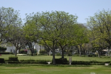 United Arab Emirates - copyright by Reineke Otten