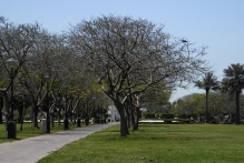 United Arab Emirates - copyright by Reineke Otten