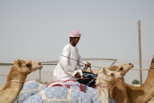 United Arab Emirates - copyright by Reineke Otten