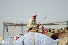 United Arab Emirates - copyright by Reineke Otten