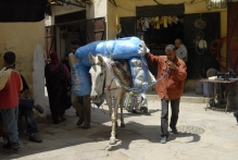 Morocco - copyright by Reineke Otten