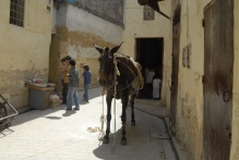 Morocco - copyright by Reineke Otten