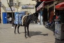 Morocco - copyright by Reineke Otten